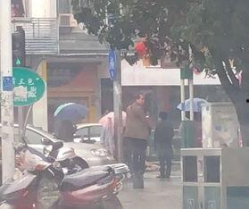 中山车祸最新爆料视频播放,视频揭示惊人细节,事故真相再引热议